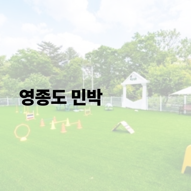 영종도민박 비교: 안악민박 vs 예림펜션 – 가성비냐 쾌적함이냐, 여행 스타일에 맞는 선택은....