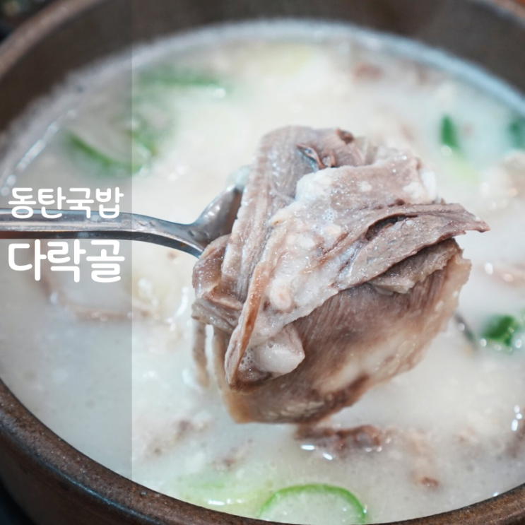  동탄 능동 국밥 맛집 다락골 소머리국밥 소내장탕