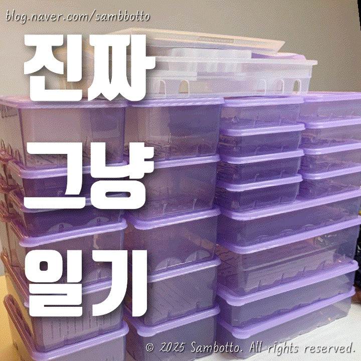  진짜 그냥 일기 | 주말 일상, 의정부 제일시장 만복집, 땡스소윤 도착! 냉동실 정리