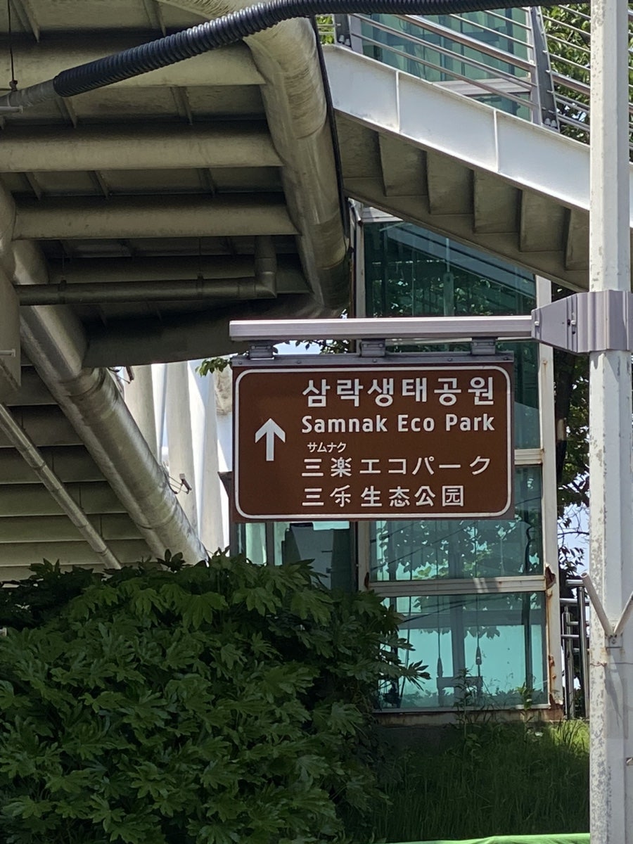초원쌈밥 사진 3