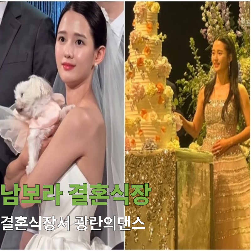남보라결혼 결혼식장서 광란의댄스