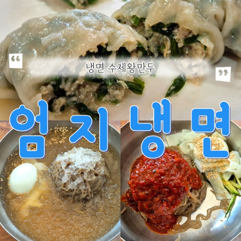 엄지냉면ㅣ상계 당고개 동네 냉면맛집 매운물냉면 만두