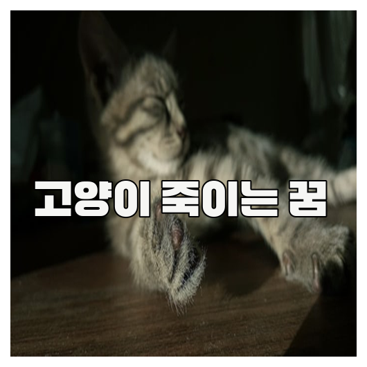 고양이를 죽이는 꿈, 그 의미는?