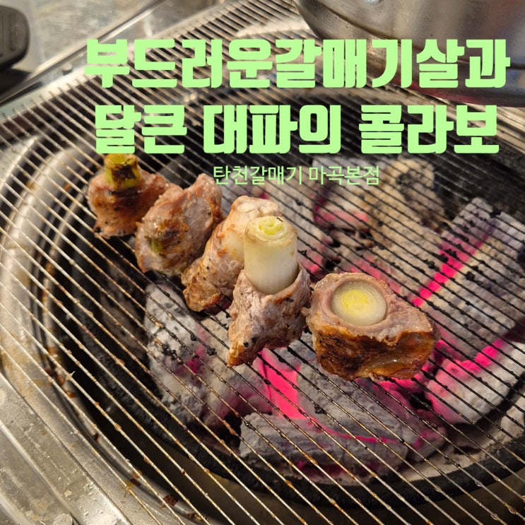  회식하기 좋은 마곡맛집 탄천갈매기 마곡본점 달큰하게 구운파와 고소한 갈매기살의 콜라보 대파갈매기