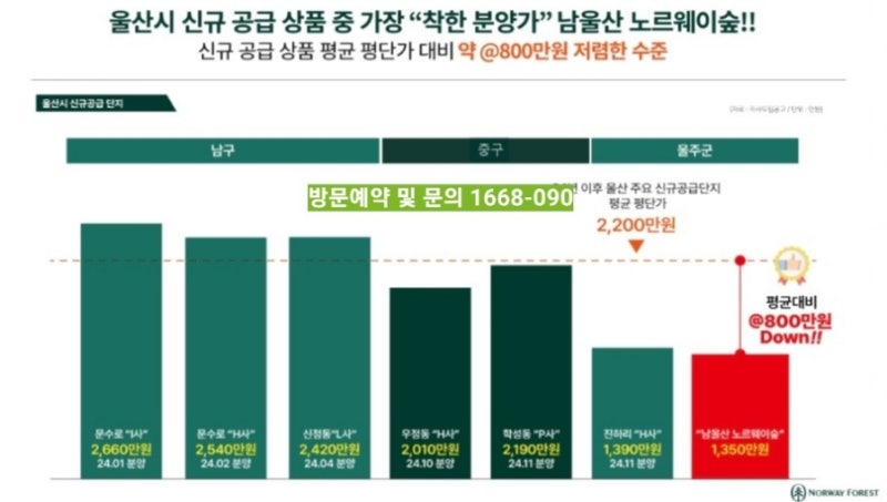 노르웨이숲 이미지