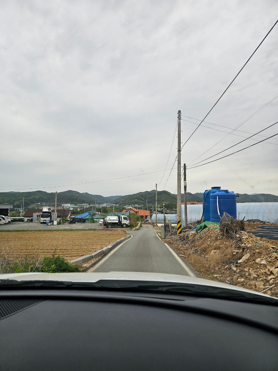 만조 사진 1