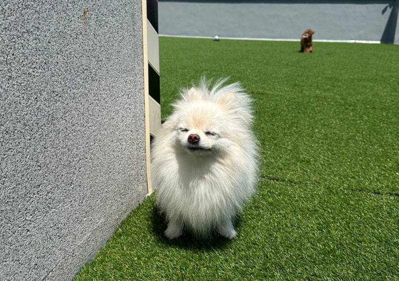 사진 3