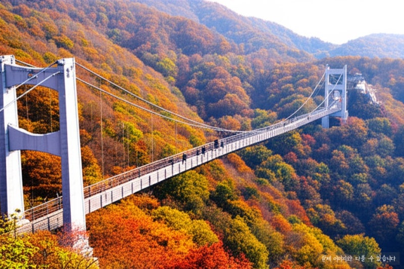 5월 수도권 당일치기 여행지 추천 TOP5