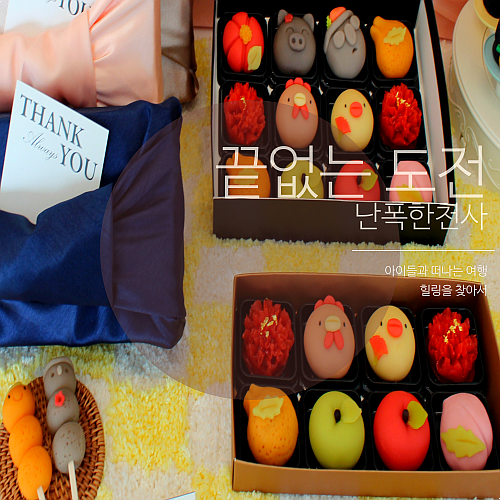  이게 진짜 아꼬운 제주 화과자라고? 선물세트로 추천