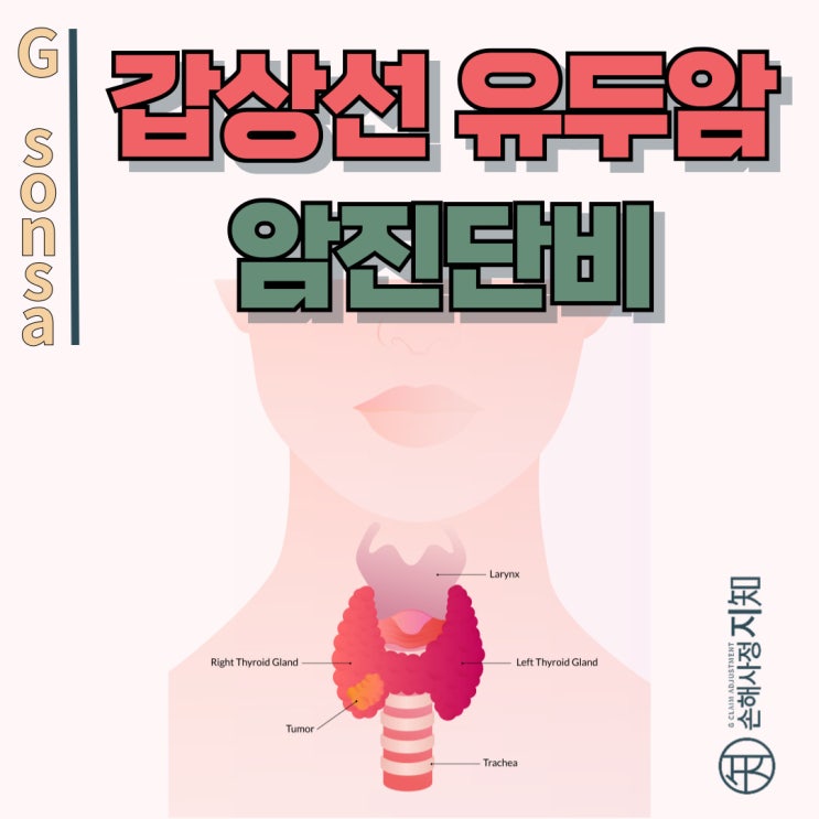  갑상선 유두암, 조직검사에서 암이 안 나와도 보험금 받을 수 있나요? - [조정례, BoDa]