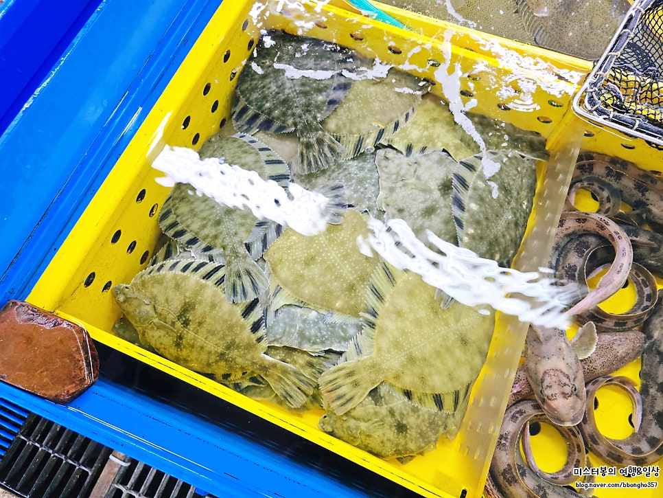 수덕호 사진 6