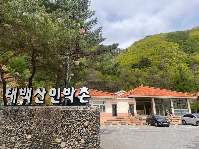 강원도 태백 가족여행 태백산민박촌 가성비 숙소 추천