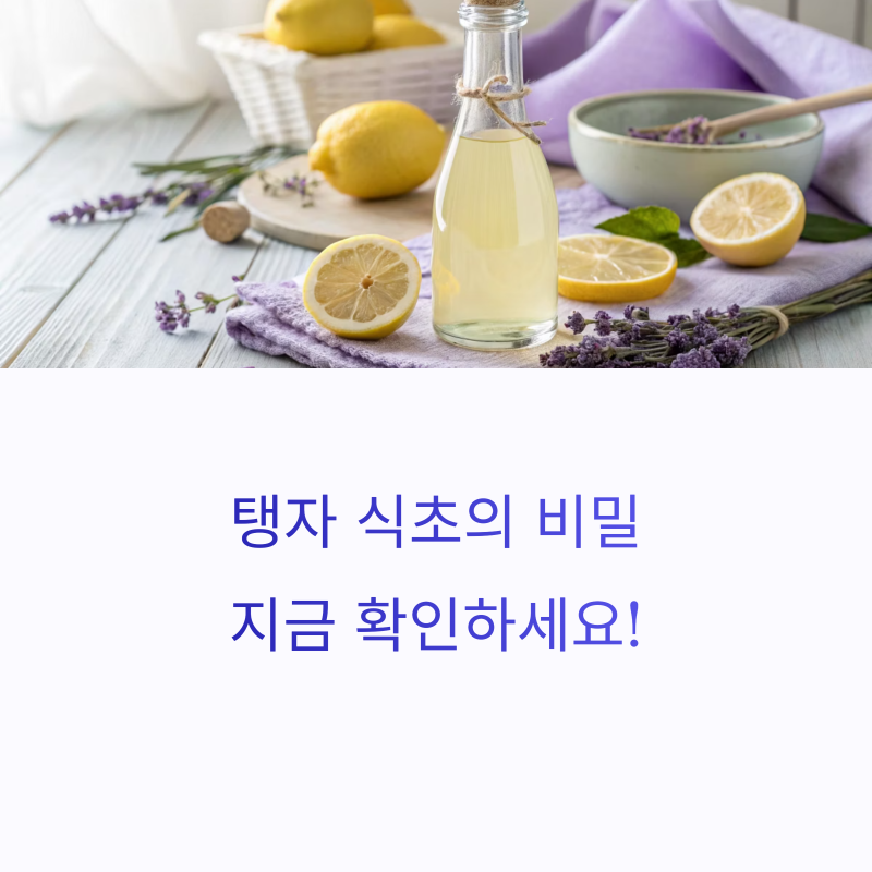 탱자 식초 만드는 법과 효능 총정리! 자연에서 얻는 건강 비결