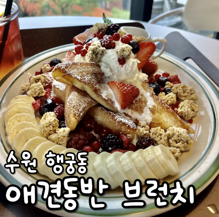  수원 행궁동 맛집 예약 브런치 애견동반