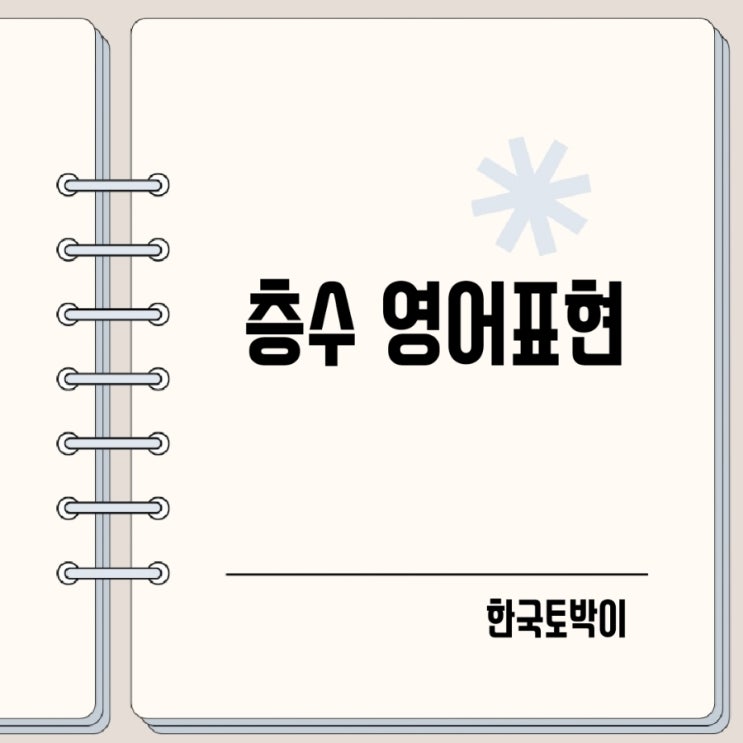  지하층 1층 2층 3층 옥상 층수 영어로