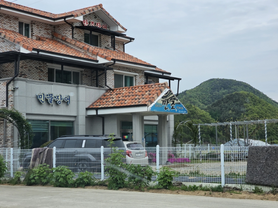 만조 사진 2