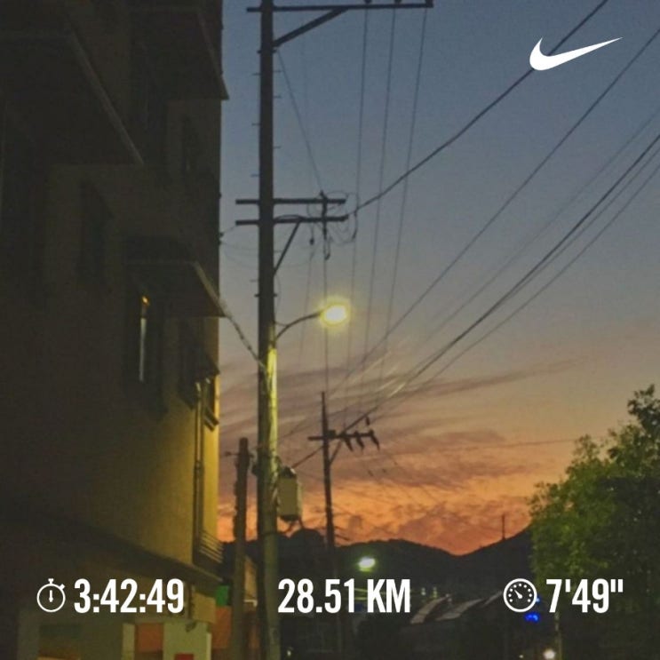 매일 10km 러닝 챌린지 1372일 차