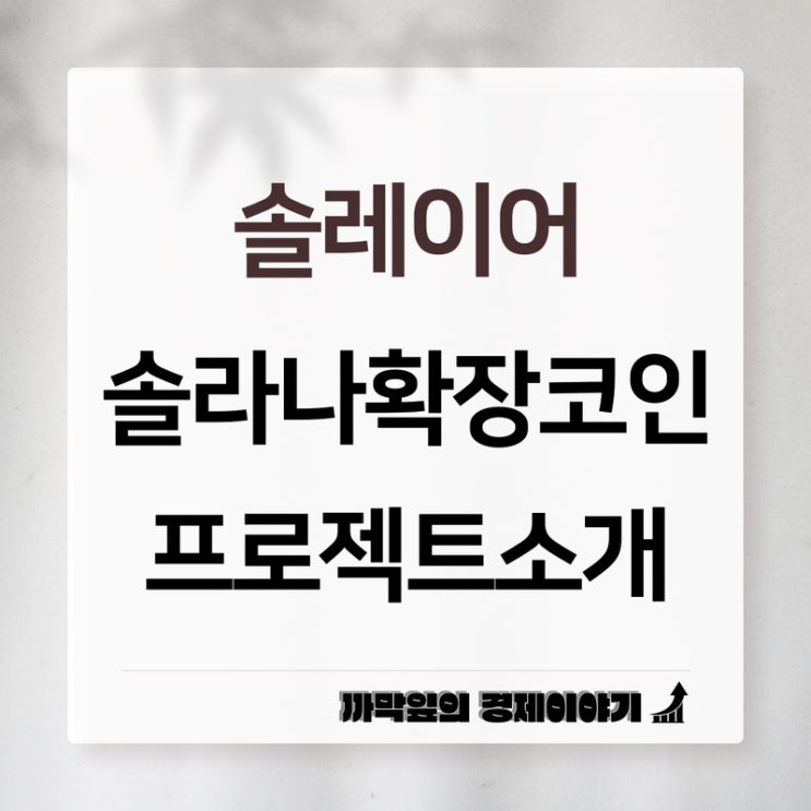 솔레이어 Solayer <b>솔라나</b> 확장 코인 소개와 비자카드 <b>결제</b>... 