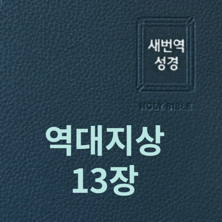 역대지상 13장 역대지상 13장