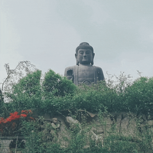  남미륵사 입장료 없는 전국 3대 명소