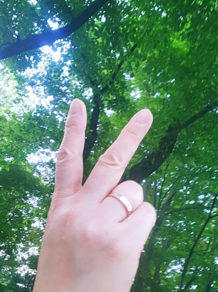  뚜벅뚜벅 걸어보자- 살과의 전쟁