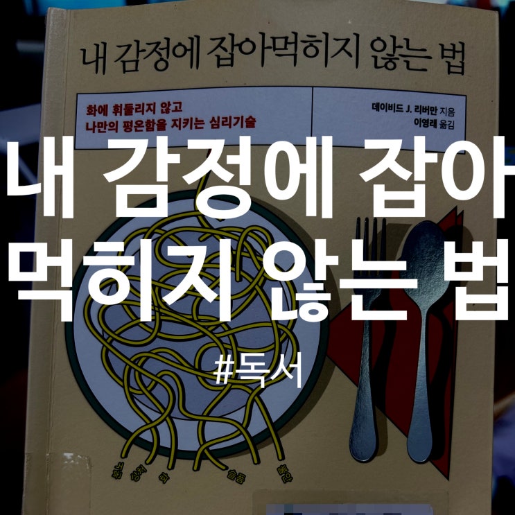  《내 감정에 잡아먹히지 않는 법》 감상 후기, 요약 – 감정의 주인이 된다는 것