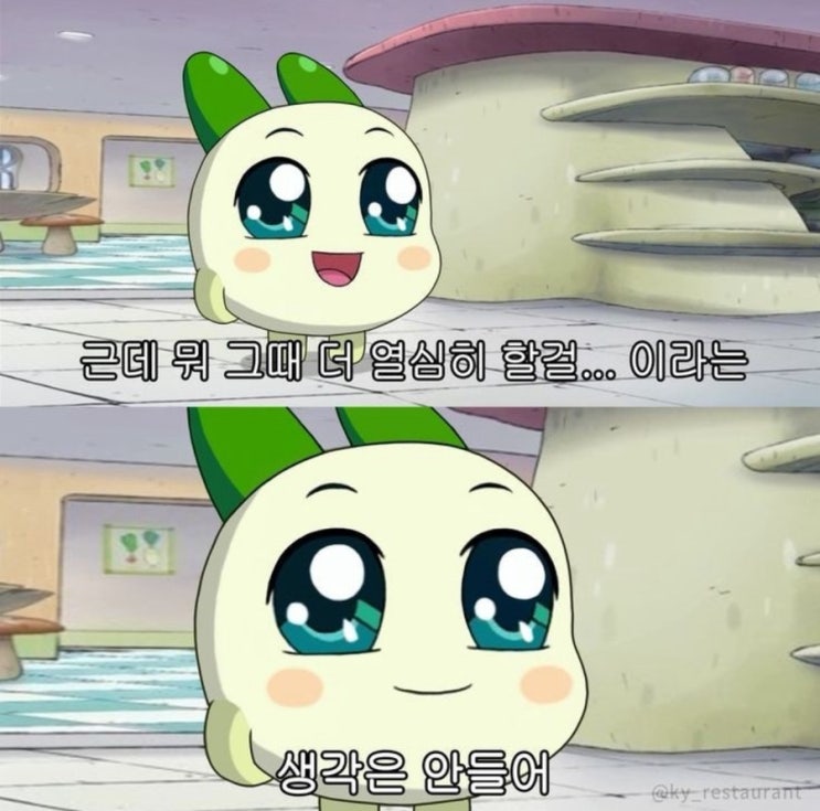  오늘의 문장들