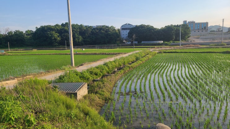  이천시 신둔면 수광리 알짜 토지 매매(신둔 도시지역토지)