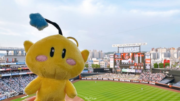 프로야구ㅣ0507 <b>한화</b> vs 삼성 <b>문동주</b> 선발경기 직관(1루... 