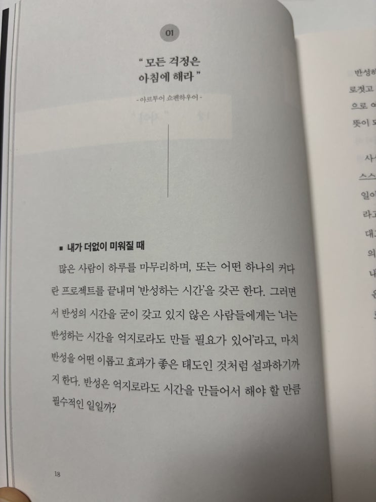  나를 덜 미워하는 방법 쇼펜하우어 인생수업