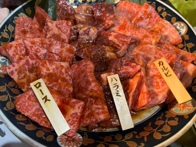  오사카 요도가와 주소역 프라자 호텔 근처 야키니쿠 카나야 솔직 후기