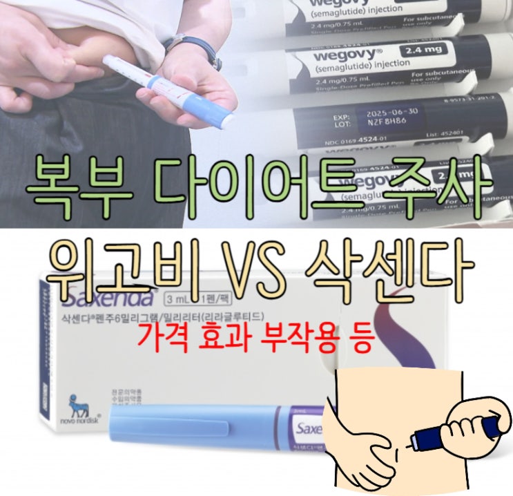  복부 다이어트 주사 위고비 삭센다 차이 총정리 !(가격 효과 부작용 등)