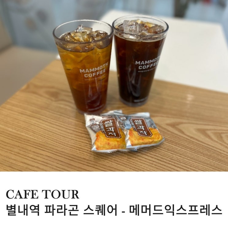  별내역 파라곤 스퀘어 카페 붕어빵 맛집 매머드 익스프레스