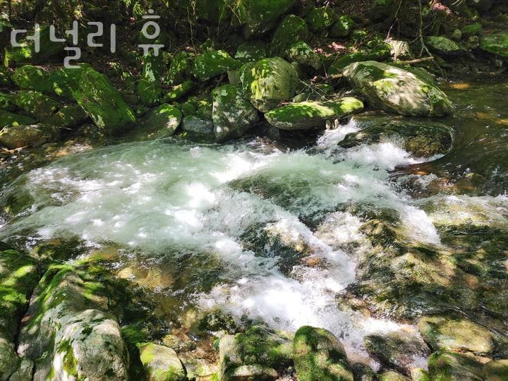 더널리휴 사진 6