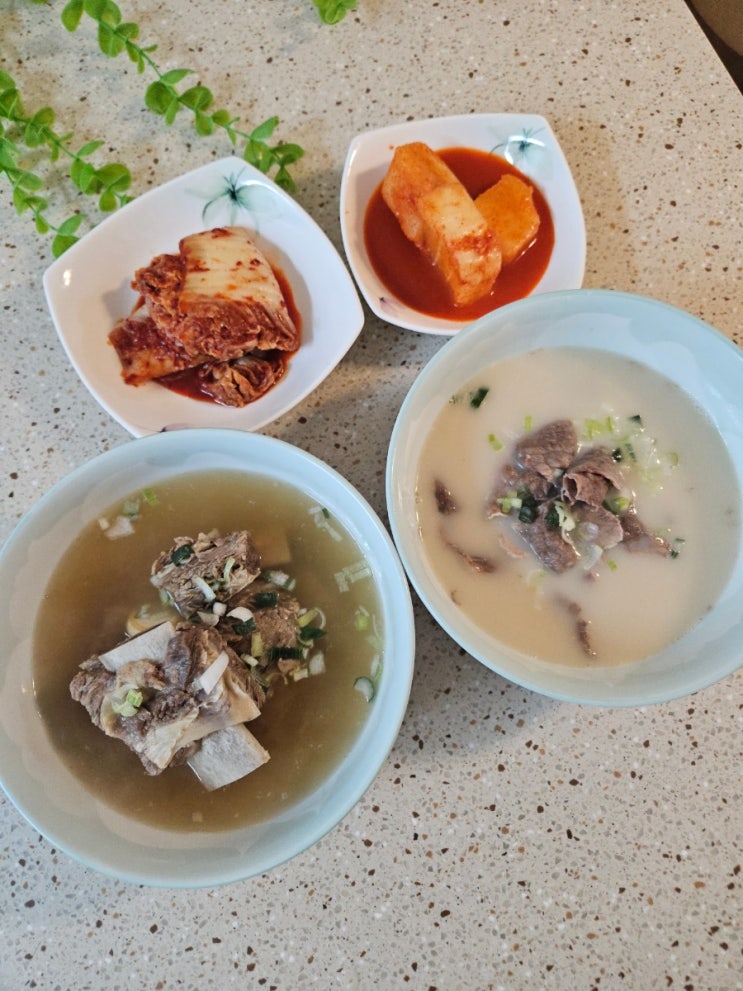  [유가옥 설렁탕 +갈비탕 체험권] 진한 육수와 함께 푸짐하게 즐기는 집설렁탕맛집