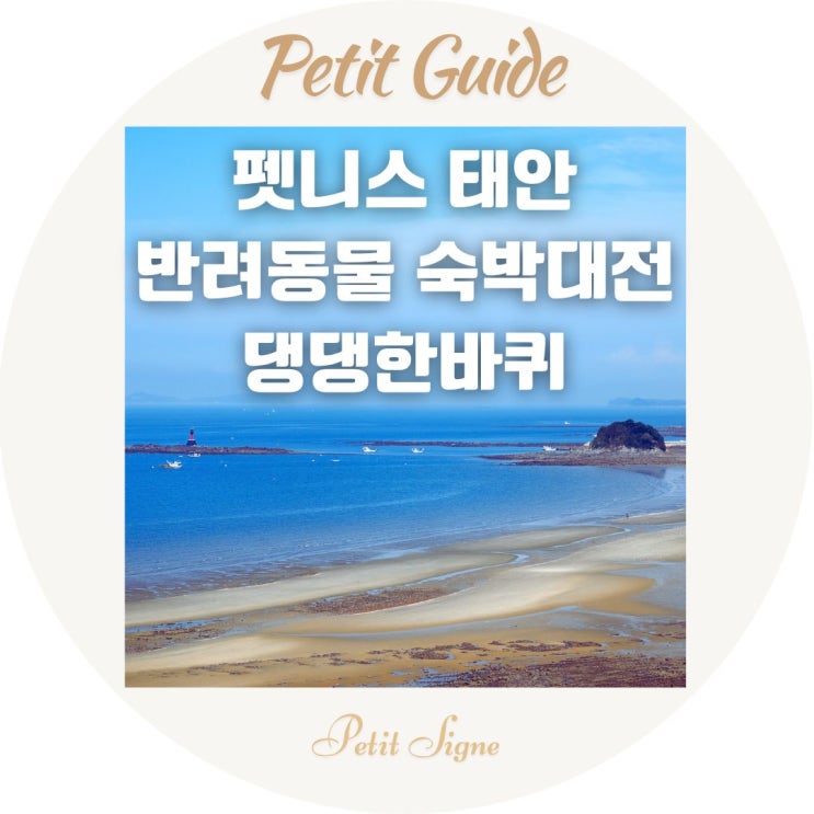  애견동반 바다여행 숙박대전 추천｜서해 태안에서 반려동물과 함께하는 특별한 시간