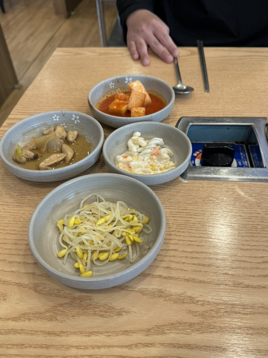 시골통돼지 사진 3