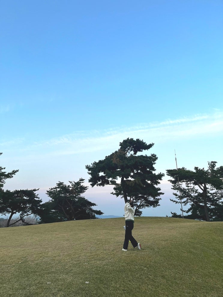  7번 아이언 다들 얼마나 보내고 있나요??