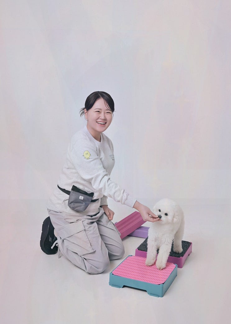  반려견과의 특별한 외출을 위한 대구애견카페 해피쉼표데이