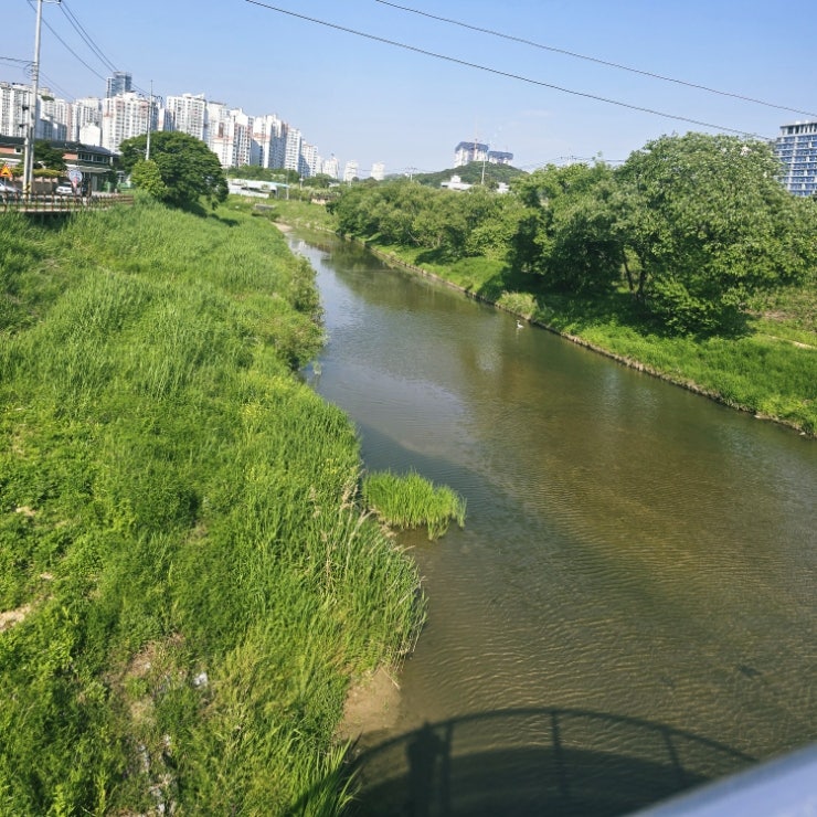 동춘당꽈배기 중앙시장6호점 사진 3