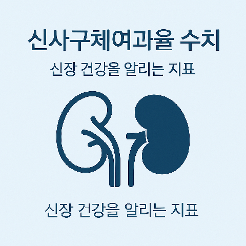 신사구체여과율 수치, 신장 건강을 알리는 지표