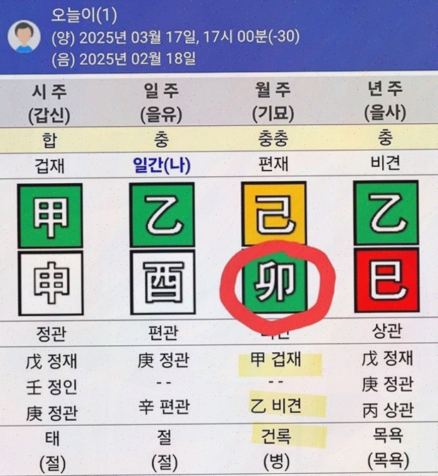  보타점, 내 인생을 밝혀주는 사주운세 분석으로 삶의 방향을 찾다