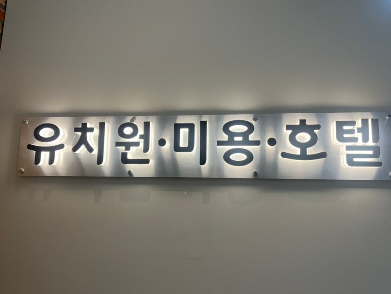 사진 6