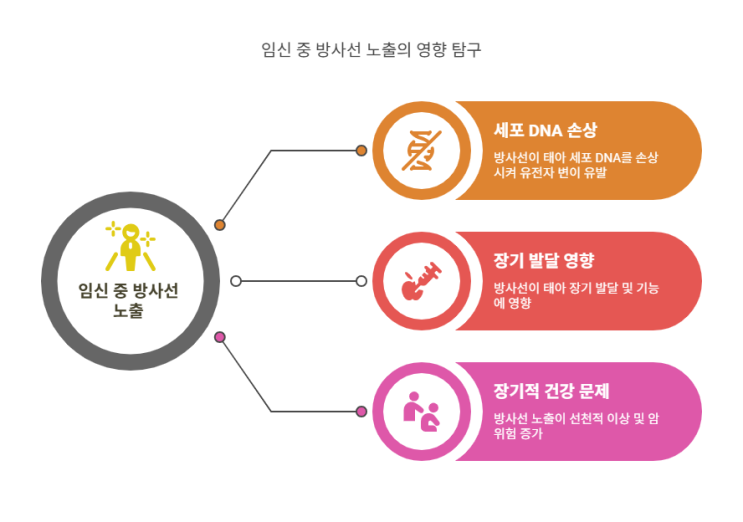  임산부를 위한 방사선 안전 가이드