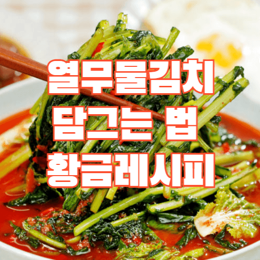 열무물김치 담그는법 초간단 황금레시피