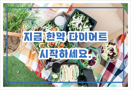 지금 한약 다이어트를 시작해야 하는 이유 - 다이어트 한약 원리