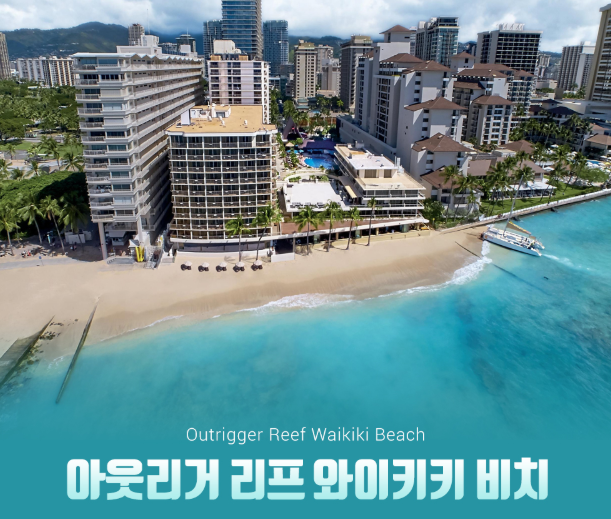  팜투어 덕분에 처음 알게 된 신혼여행 준비 순서