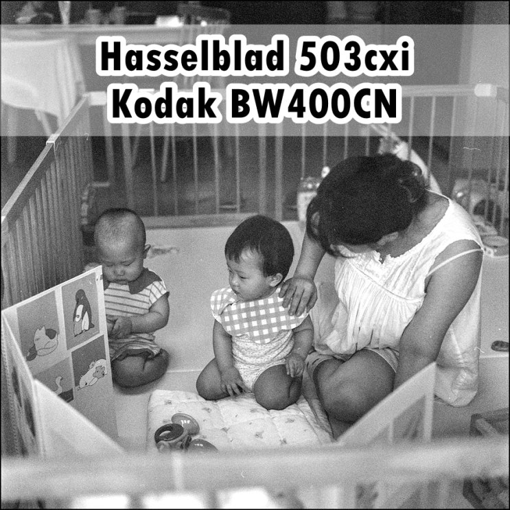  핫셀블라드 503CXI | 코닥 BW400CN | 쌍둥이에 연년생으로 든든한 셋째아들까지 30평대 집이 꽉 찬다.. (이사 가야할거같다..)