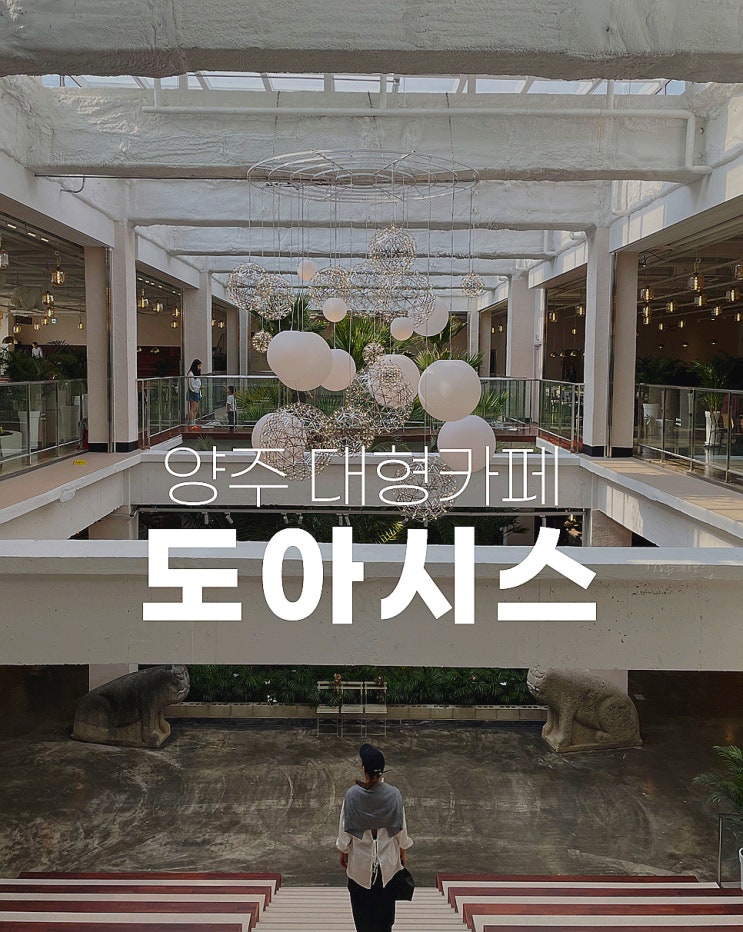  양주 대형카페 추천 목욕탕이 식물원카페로 변신 도아시스 식물원카페