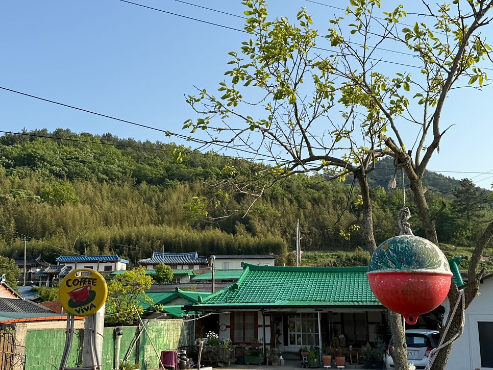 비바에이 사진 4